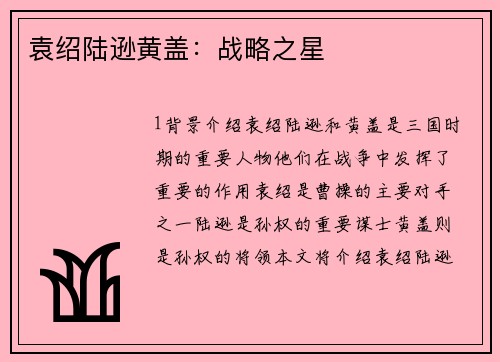 袁绍陆逊黄盖：战略之星